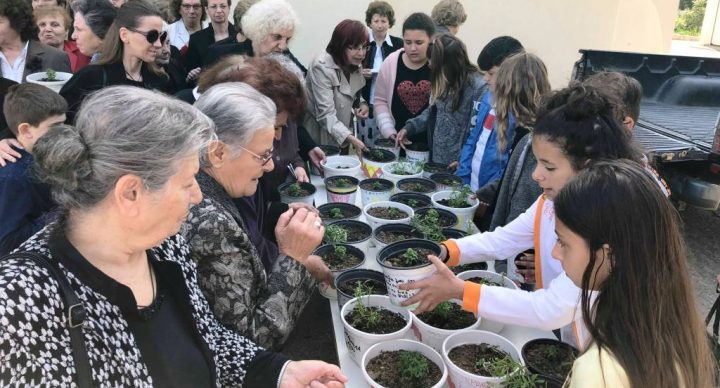 Ένα λουλούδι γι όλες τις μανούλες..
